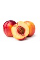 Nectarine des Landes