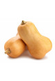 Butternut Bio de la ferme