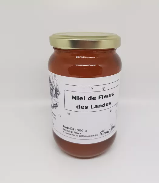 Miel de Fleurs des Landes